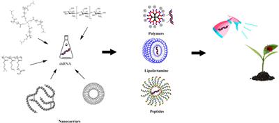 Advances in nanocarriers to improve the stability of dsRNA in the environment